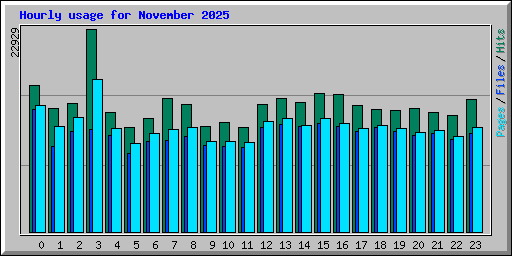 Hourly usage for November 2025